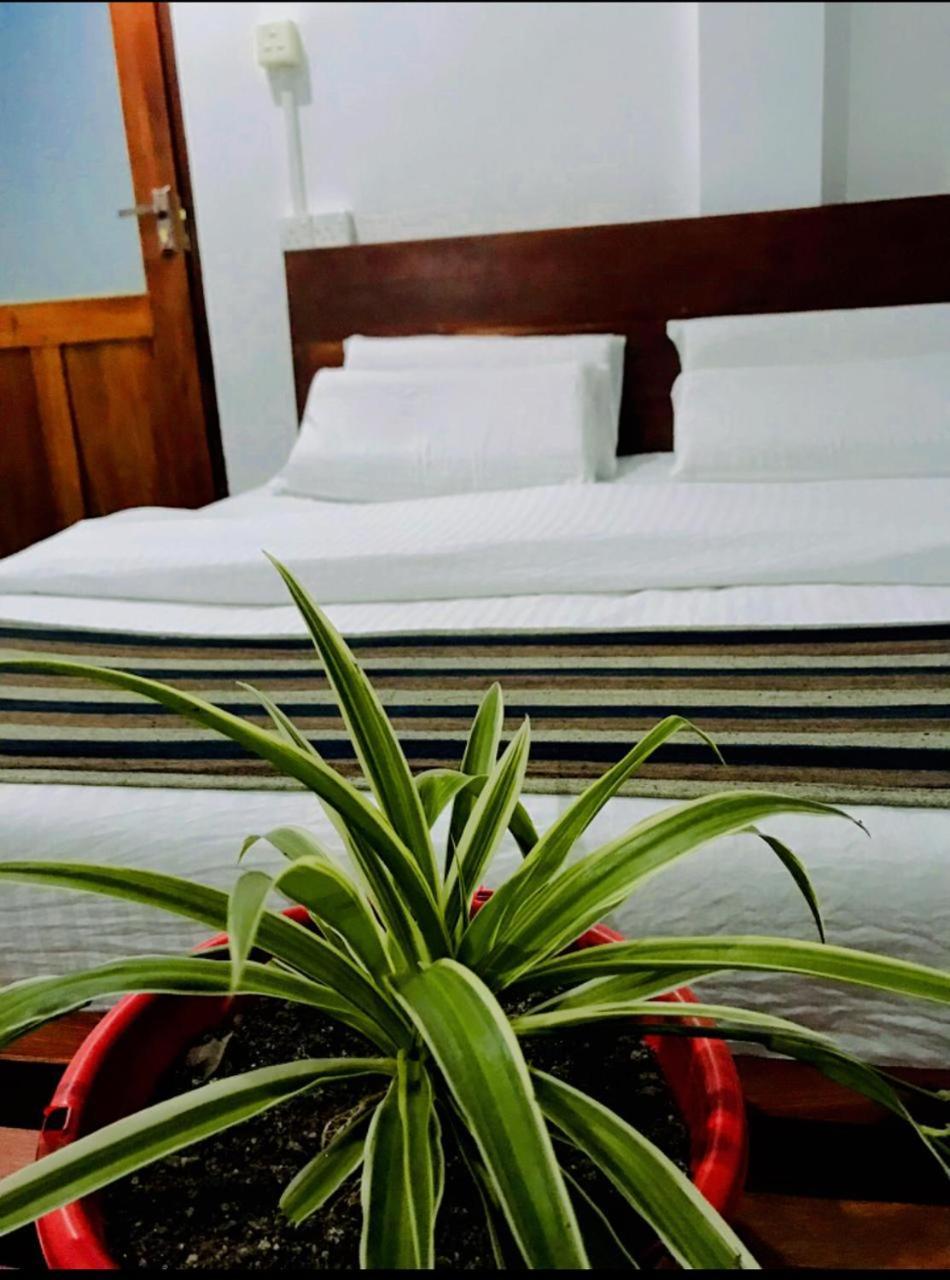 Minthu Homestay Procida Dış mekan fotoğraf